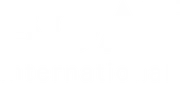 BOAT International logo