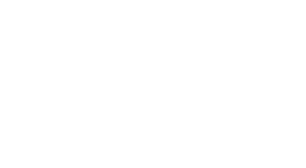 TOZI logo